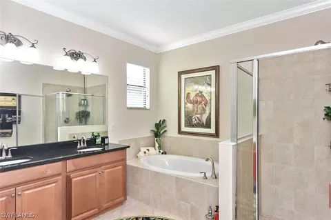 20382 Black Tree Ln, Estero, FL 33928 photo 18
