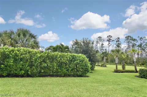 20382 Black Tree Ln, Estero, FL 33928 photo 6