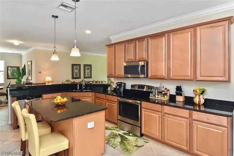 20382 Black Tree Ln, Estero, FL 33928 photo 13