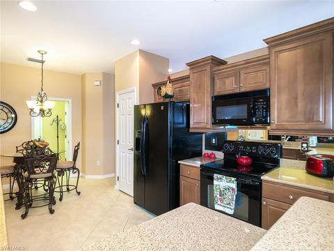 20125 Larino Loop, Estero, FL 33928 photo 8