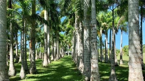 11275 Trinity Pl, Naples, FL 34114 photo 5