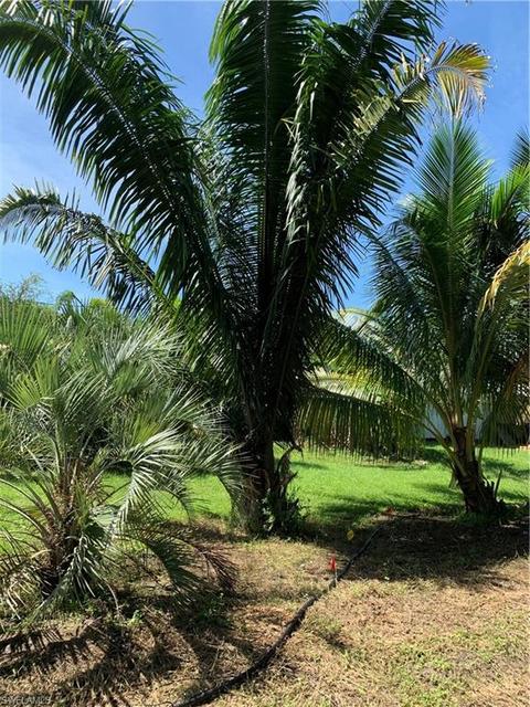 11275 Trinity Pl, Naples, FL 34114 photo 34