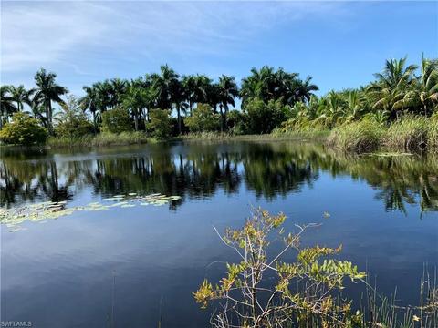 11275 Trinity Pl, Naples, FL 34114 photo 3