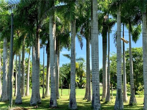 11275 Trinity Pl, Naples, FL 34114 photo 2