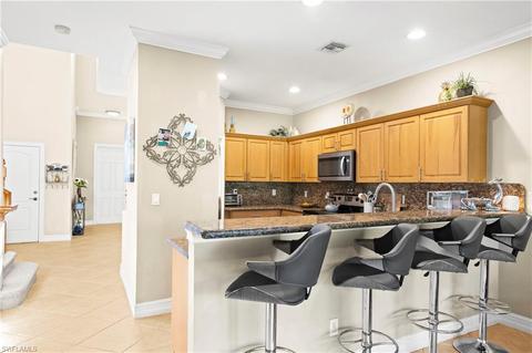 20618 W Silver Palm Dr, Estero, FL 33928 photo 11