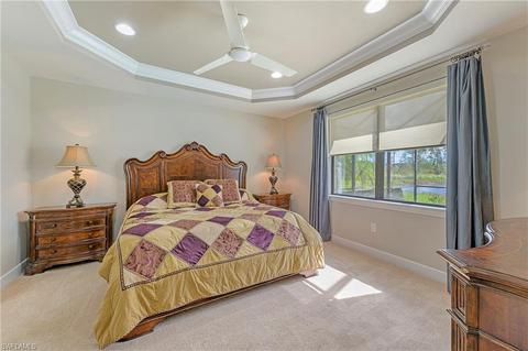 20461 Black Tree Ln, Estero, FL 33928 photo 10