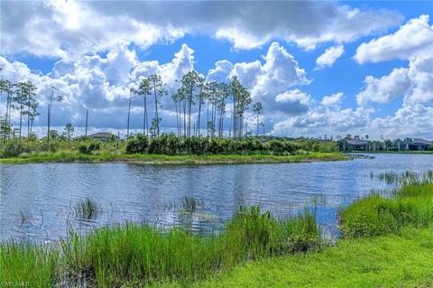 20461 Black Tree Ln, Estero, FL 33928 photo 5