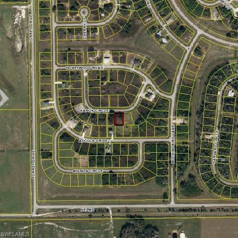 Undisclosed, Labelle, FL 33935 photo 1