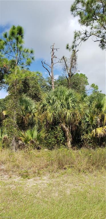 5014 Quebec Rd, Labelle, FL 33935 photo 1