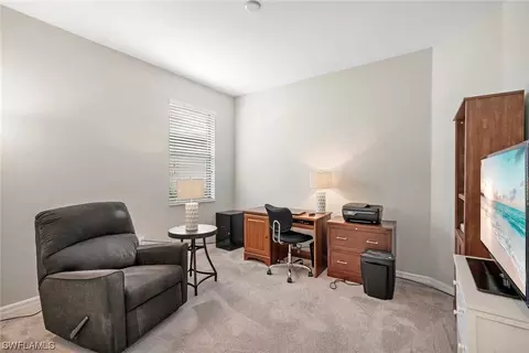 19219 Mesic Ln, Estero, FL 33928 photo 23