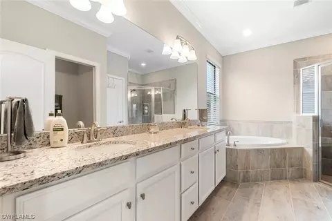 19219 Mesic Ln, Estero, FL 33928 photo 19