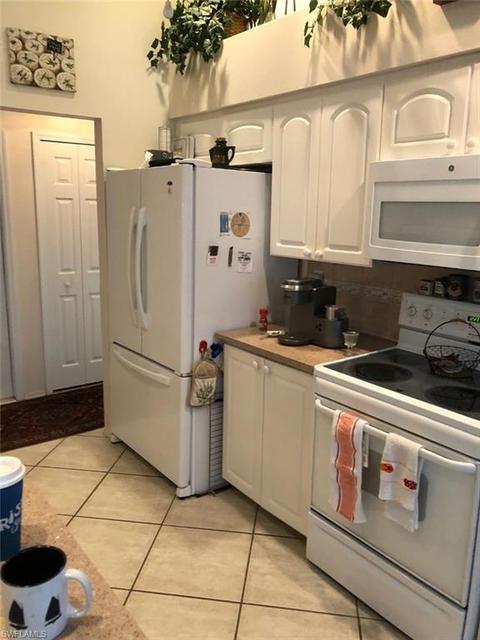 20950 Andiron Pl, Estero, FL 33928 photo 3