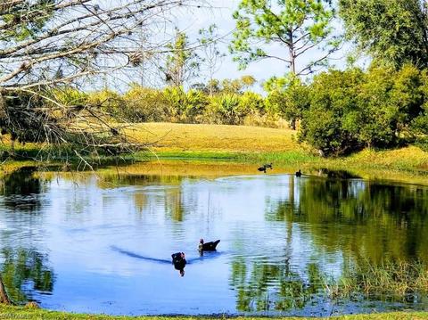 1110 Ivan Blvd, Labelle, FL 33935 photo 15
