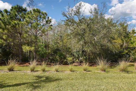 14223 Wild Timber Ct, Estero, FL 33928 photo 25