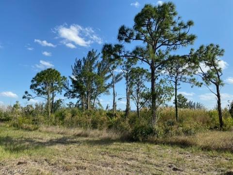 5301 Doug Taylor Cir, Other, FL 33956