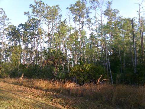 4745 4th Ave NE, Naples, FL 34120 photo 10