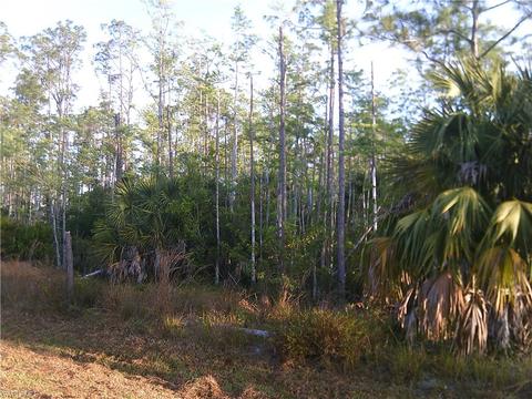 4745 4th Ave NE, Naples, FL 34120 photo 8