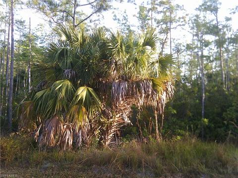 4745 4th Ave NE, Naples, FL 34120 photo 7