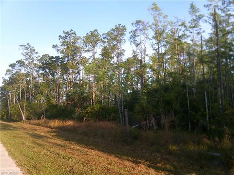 4745 4th Ave NE, Naples, FL 34120 photo 9
