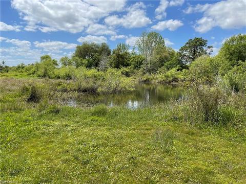 Undisclosed, Labelle, FL 33935 photo 12