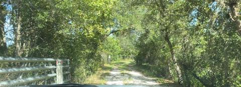 Undisclosed, Labelle, FL 33935 photo 30