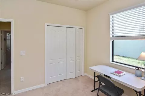 20462 Black Tree Ln, Estero, FL 33928 photo 24