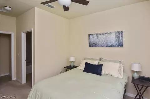 20462 Black Tree Ln, Estero, FL 33928 photo 21