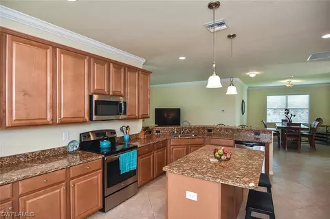 20462 Black Tree Ln, Estero, FL 33928 photo 12