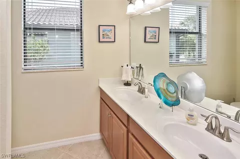 20462 Black Tree Ln, Estero, FL 33928 photo 26