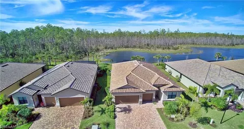 20462 Black Tree Ln, Estero, FL 33928 photo 3