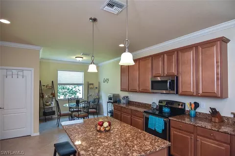 20462 Black Tree Ln, Estero, FL 33928 photo 11