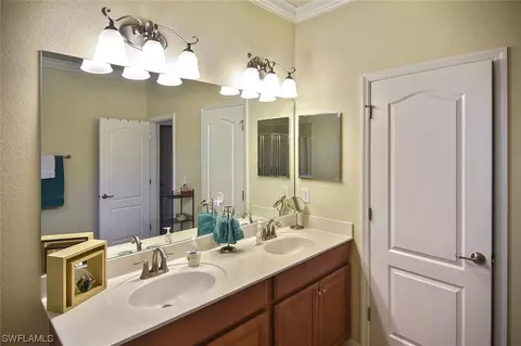20462 Black Tree Ln, Estero, FL 33928 photo 29