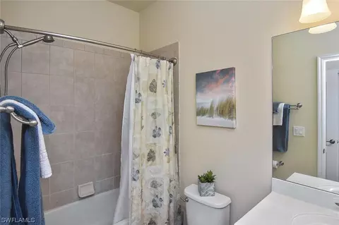 20462 Black Tree Ln, Estero, FL 33928 photo 23