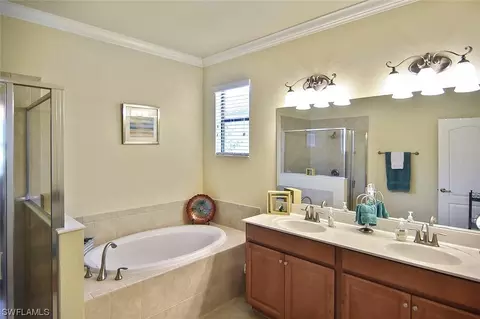20462 Black Tree Ln, Estero, FL 33928 photo 19