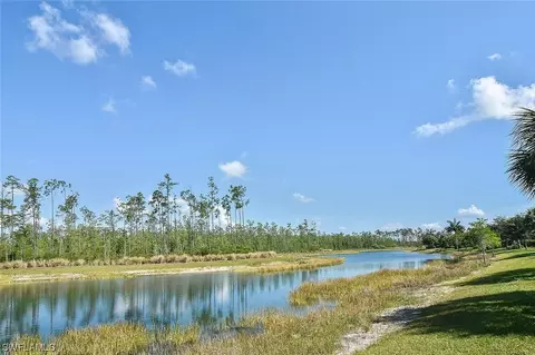 20462 Black Tree Ln, Estero, FL 33928 photo 7
