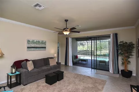 20462 Black Tree Ln, Estero, FL 33928 photo 14