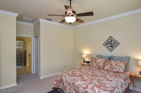 20462 Black Tree Ln, Estero, FL 33928 photo 18