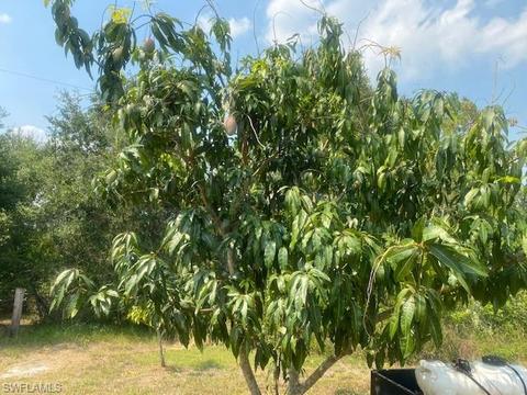 2530 Phillips Rd, Labelle, FL 33935 photo 15
