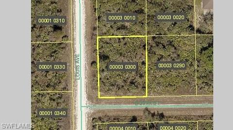 4183 E 29th St, Alva, FL 33920 photo 1