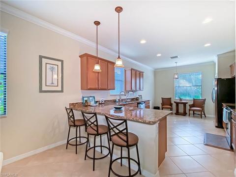 20288 Black Tree Ln, Estero, FL 33928 photo 9