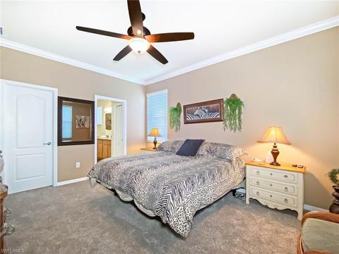 20288 Black Tree Ln, Estero, FL 33928 photo 11