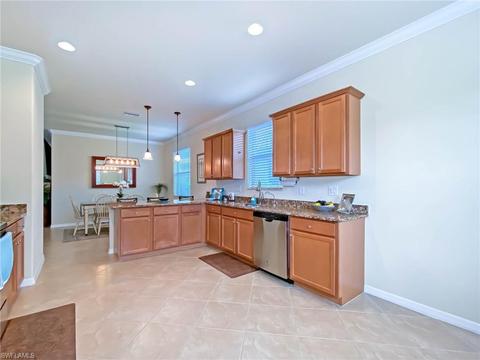 20288 Black Tree Ln, Estero, FL 33928 photo 10