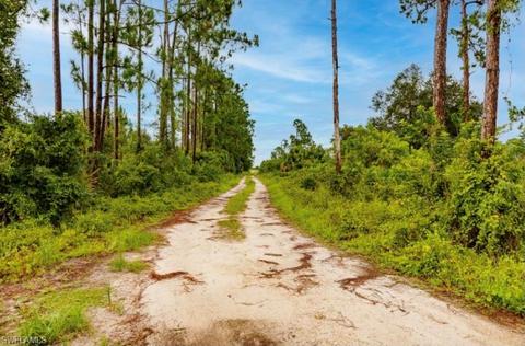 7897 4th Ter, Labelle, FL 33935 photo 3