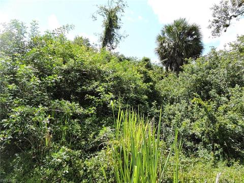 7753 3rd Ter, Labelle, FL 33935 photo 4