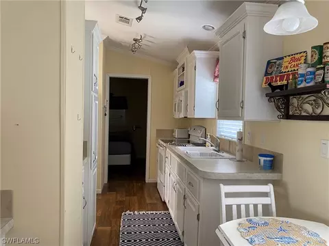 20132 Plum Tree Ln, Estero, FL 33928 photo 9