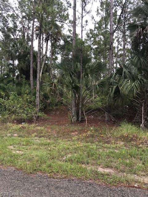 1987 Westboro Loop Loop, Lehigh Acres, FL 33972 photo 1