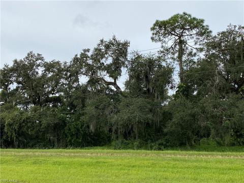 N State Rd 29, Labelle, FL 33935 photo 4