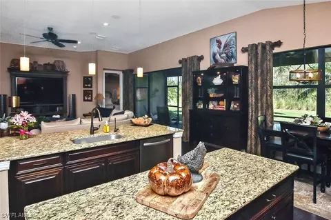 13505 Tripoli Ct, Estero, FL 33928 photo 10
