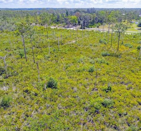 435 Pine Ave, Labelle, FL 33935 photo 3