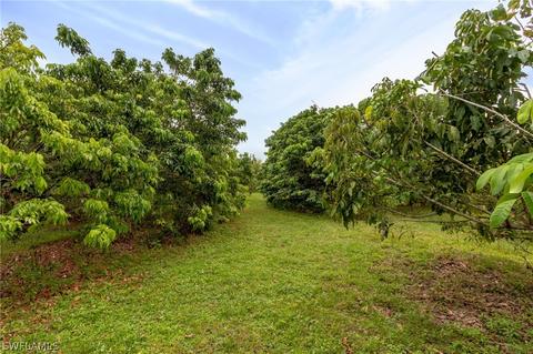 14100 Stringfellow Rd, Bokeelia, FL 33922 photo 20